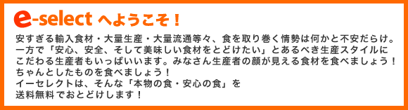 �������쥯�Ȥؤ褦����